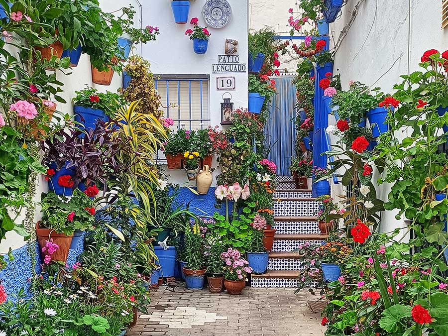 Rincones típicos del barrio de los pescadores