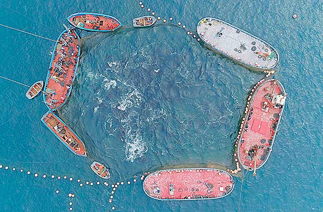 Ilustración del método de pesca de la almadraba